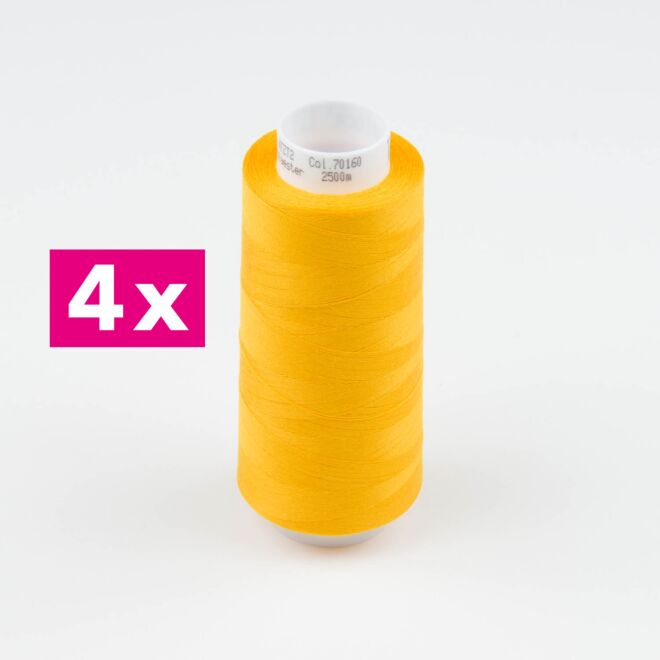 Amann-Mettler Trojalock Overlockgarn No. 120, 4x2500m/gleiche Farbe - Farbe: 70160