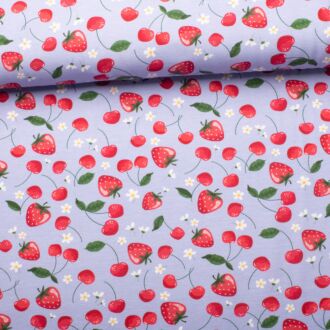 Melody strawberry cotton jersey smoky blue